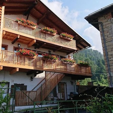 Cadorina Apartment Valle di Cadore Exterior photo